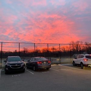 Meet your Posher, Bailey